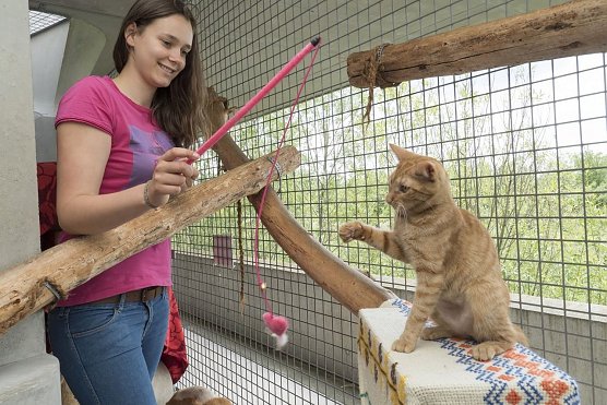 Tierschutzpreis für Jugendliche (Foto: Deutscher Tierschutzbund) Tierschutzpreis für Jugendliche (Foto: Deutscher Tierschutzbund)