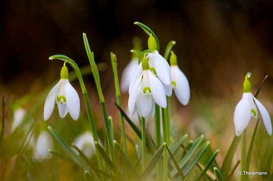 Wetterbild (Foto: Gernot Thelemann) Wetterbild (Foto: Gernot Thelemann)