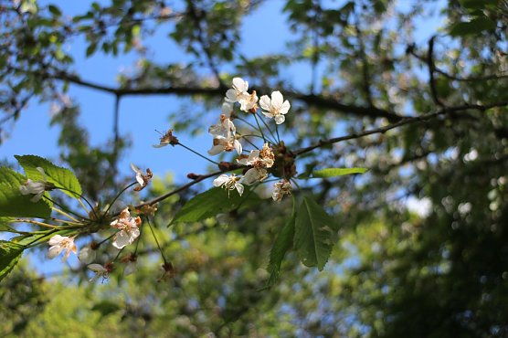 Wetterbild (Foto: Angelo Glashagel)