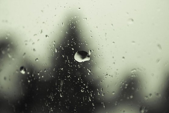 Das sind die Aussichten (Foto: Gernot Thelemann)