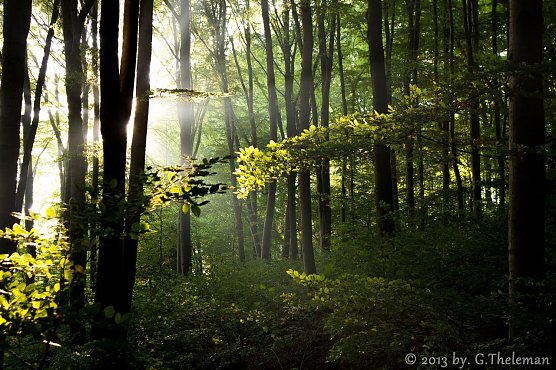 Wetter-Bild (Foto: Gernot Thelemann)