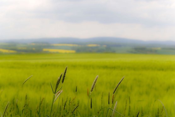 Wetter-Bild (Foto: Gernot Thelemann)