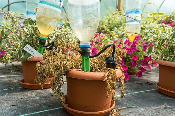 Bew&auml;sserungssysteme (Foto: Stiftung Warentest)