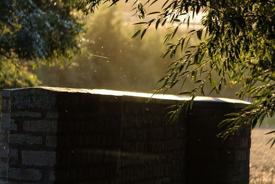 Wetter-Bild (Foto: Gernot Thelemann)