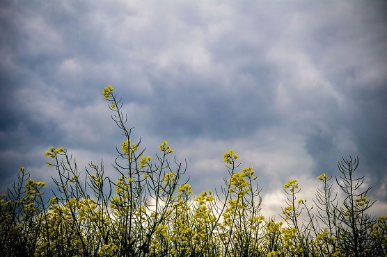 Wetter-Bild (Foto: Gernot Thelemann)