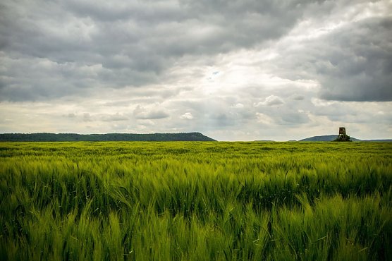 Wetterbild (Foto: Gernot Thelemann)