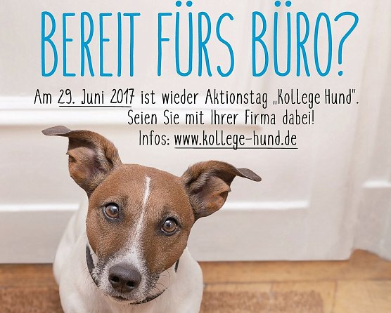 Plakat (Foto: Deutscher Tierschutzbund)