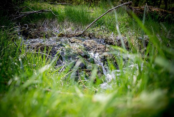 Wetterbild (Foto: Gernot Thelemann)