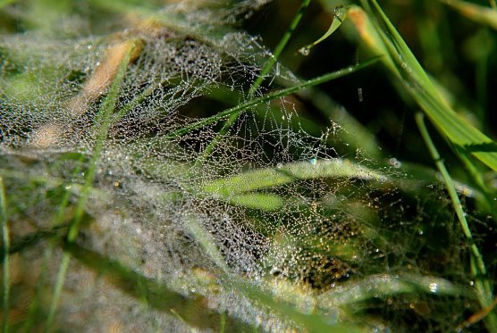 Wetter-Bild (Foto: Gernot Thelemann)