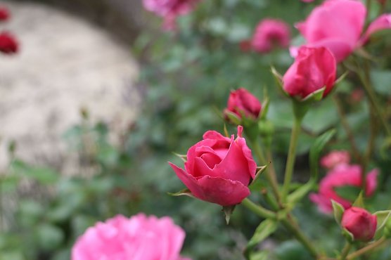 Wetterbild (Foto: Angelo Glashagel)