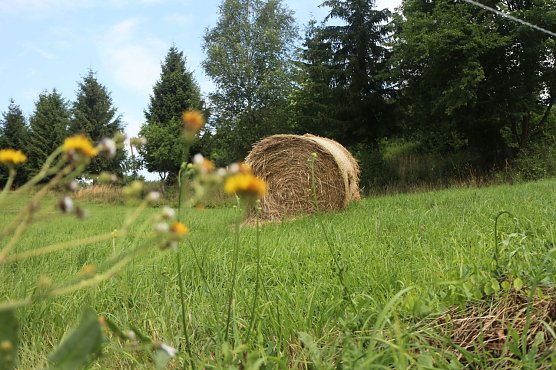 Wetterbild (Foto: Angelo Glashagel)