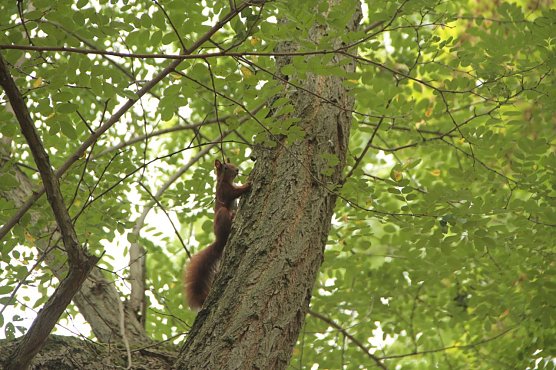 Wetterbild (Foto: Angelo Glashagel)