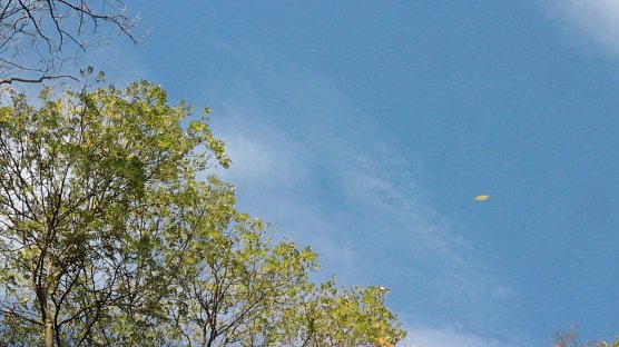 Sonnenschein mit kleinen Nebelfeldern (Foto: nnz ) Sonnenschein mit kleinen Nebelfeldern (Foto: nnz )