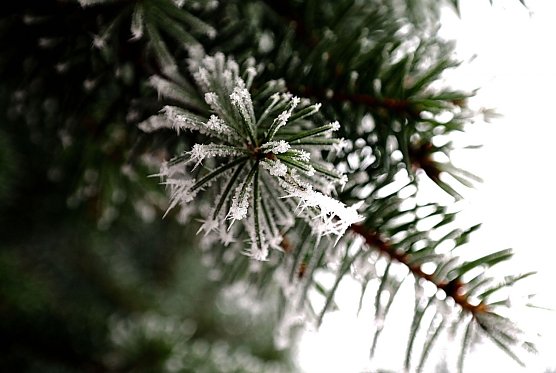 Wetterbild (Foto: Gernot Thelemann)