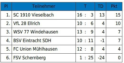 Hallencup des BSV Eintracht der D-Junioren (Foto: BSV Eintracht)