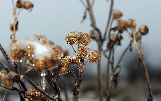 Wetterbild (Foto: Gernot Thelemann)
