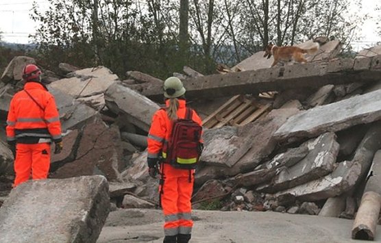 Bild: Tori im Einsatz