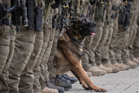 Foto des Jahres, "Menschen und Momente", Halber Zweibeiner (Foto: Boris Roessler) Foto des Jahres, "Menschen und Momente", Halber Zweibeiner (Foto: Boris Roessler)
