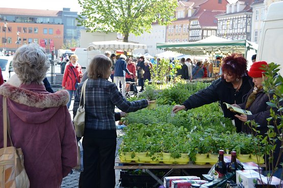 Traditioneller Ostermarkt am Gr&uuml;ndonnerstag in M&uuml;hlhausen (Foto: Stadtverwaltung M&uuml;hlhausen.)