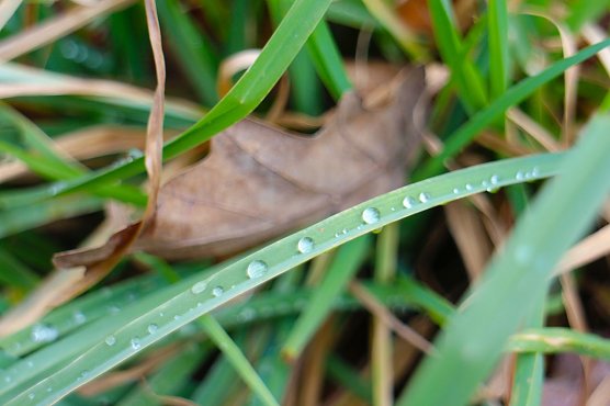 Wetterbild (Foto: Angelo Glashagel)