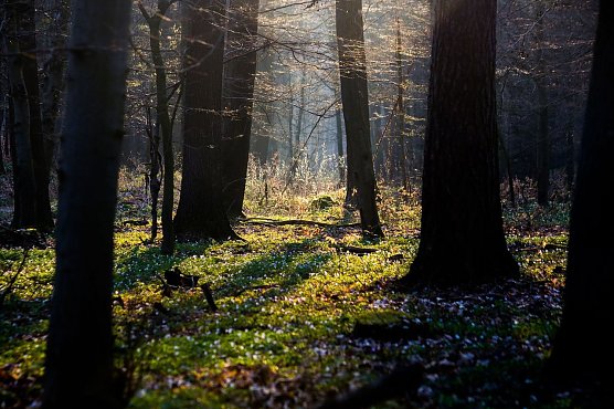 Wetterbild (Foto: Gernot Thelemann)