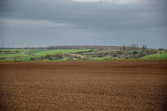 Wetterbild (Foto: Gernot Thelemann)