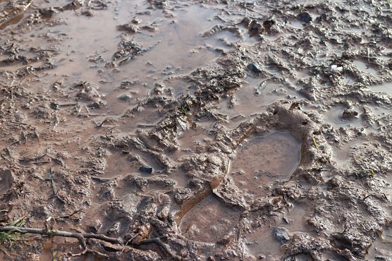 Wetterbild (Foto: Angelo Glashagel) Wetterbild (Foto: Angelo Glashagel)