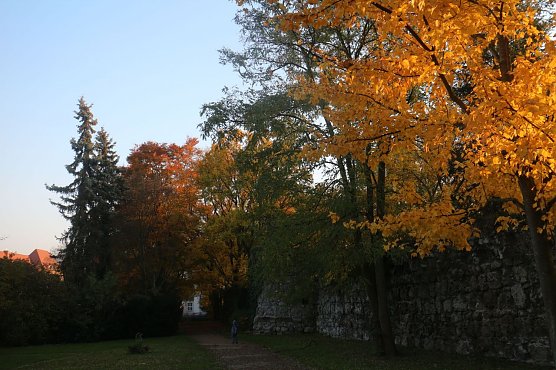 Wetterbild (Foto: Angelo Glashagel) Wetterbild (Foto: Angelo Glashagel)