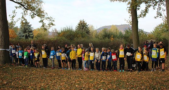 Stadtparklauf in Sondershausen (2) (Foto: Karl-Heinz Herrmann)