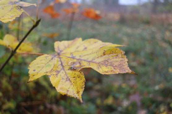 Wetterbild (Foto: Angelo Glashagel)