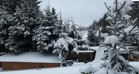 Wetterbild (Foto: Wolfgang J&ouml;rgens)