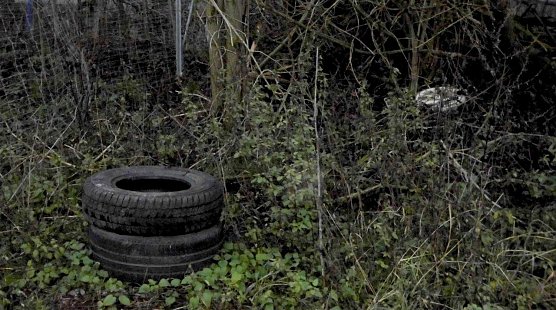 Illegaler Abfall muss auch entsorgt werden (Foto: M. Kappler)