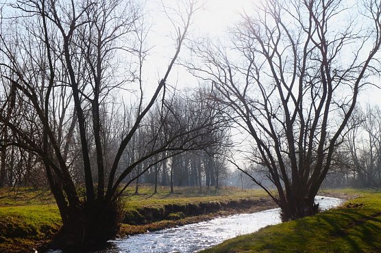 Wetterbild (Foto: Angelo Glashagel) Wetterbild (Foto: Angelo Glashagel)