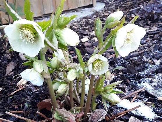 Wetterbild (Foto: W. J&ouml;rgens)