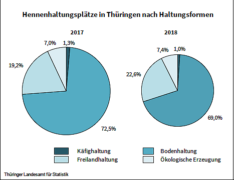 Hennenhaltungsplätze in Thüringen nach Haltungsformen (Foto: Thüringer Landesamt für Statistik) Hennenhaltungsplätze in Thüringen nach Haltungsformen (Foto: Thüringer Landesamt für Statistik)