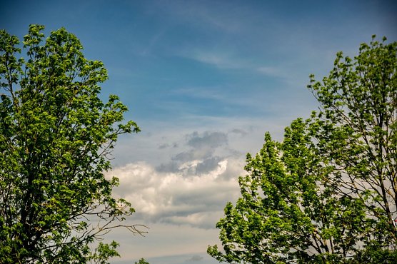Es k&ouml;nnte "ungem&uuml;tlich" werden (Foto: Gernot Thelemann)