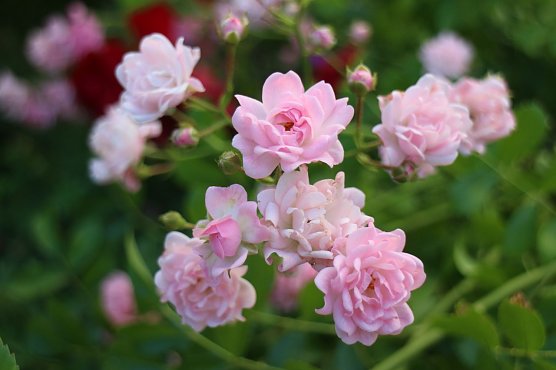 Wetterbild (Foto: Angelo Glashagel)