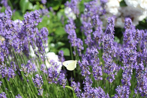 Wetterbild (Foto: Angelo Glashagel) Wetterbild (Foto: Angelo Glashagel)