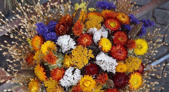Herbstmarkt (Foto: Stadtverwaltung M&uuml;hlhausen)
