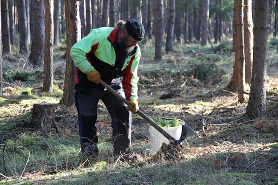 Das Gr&uuml;ne muss nach oben (Foto: Horst Spro&szlig;mann)