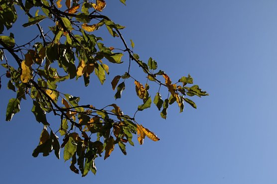 Wetterbild (Foto: Angelo Glashagel)