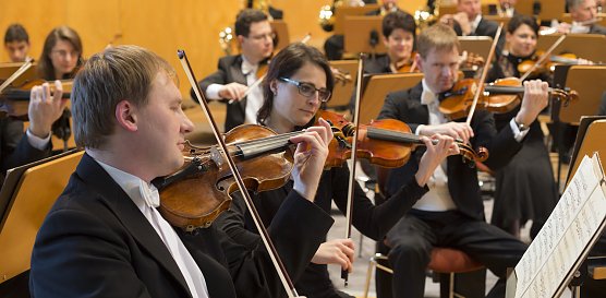 loh-orchester (Foto: Theater Nordhausen)