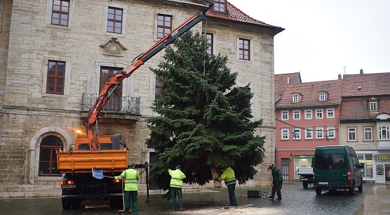 Weihnachtsbaum (Foto: Stadtverwaltung Bad Langensalza / Emanuel Cron)