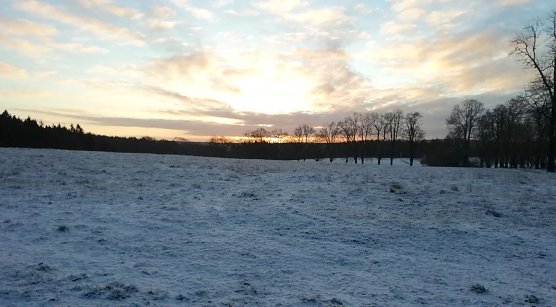 winterwetter sophienhof (Foto: W.J&ouml;rgens)