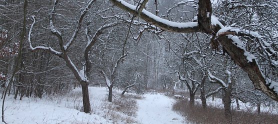 Winterwetter (Foto: AGL)