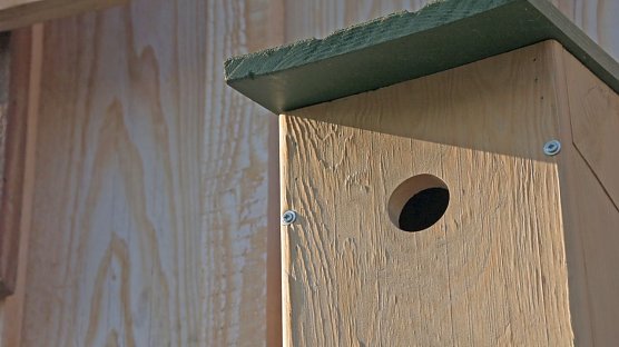 NABU: jetzt Nisthilfen aufhängen (Foto: Torsten Porstmann) NABU: jetzt Nisthilfen aufhängen (Foto: Torsten Porstmann)