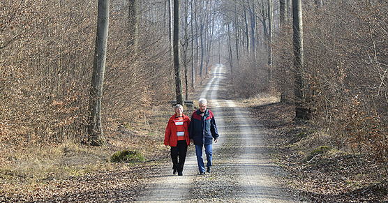 Th&uuml;ringens Forstleute stellen fest: In der Krise steigt die Solidarit&auml;t unter den Waldnutzern (Foto: Andreas Knoll)