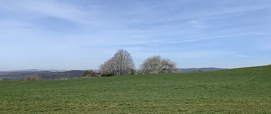 wetter (Foto: oas) wetter (Foto: oas)