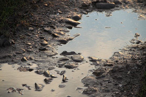 Wetterbild (Foto: agl)