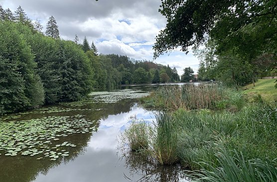 Kurpark Bad Sachsa (Foto: oas) Kurpark Bad Sachsa (Foto: oas)